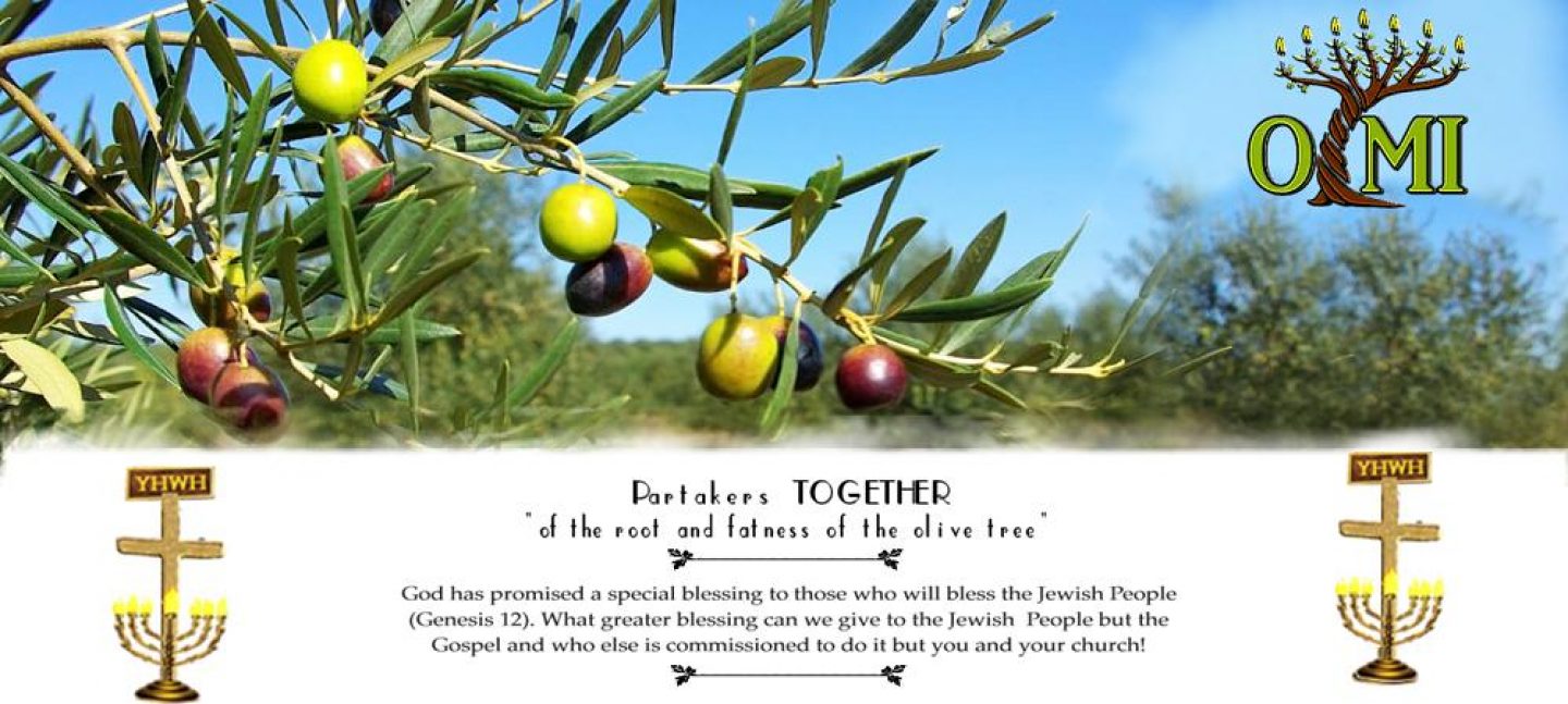 Olive Tree Ministries International